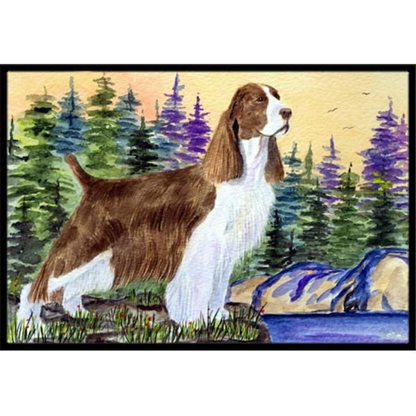 Carolines Treasures Carolines Treasures SS8105JMAT Springer Spaniel Indoor Or Outdoor Doormat - 24 x 36 in. SS8105JMAT - main